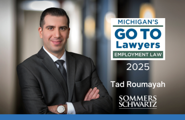 Tad Go To Lawyers Employment 2025