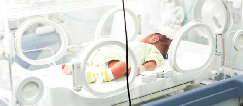 Newborn in neonatal intensive care unit