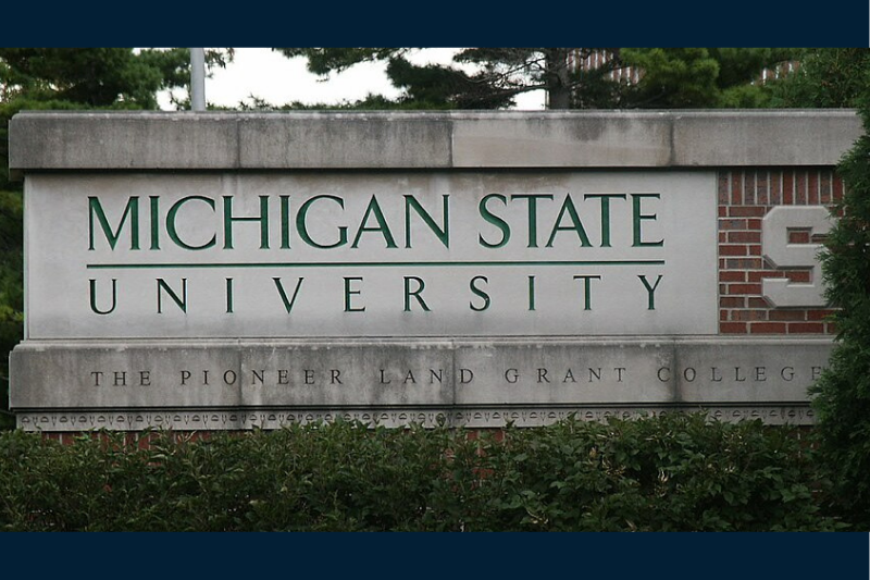 Michigan State University Dr. Arpit Saxena