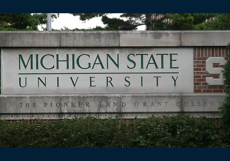 Michigan State University Dr. Arpit Saxena